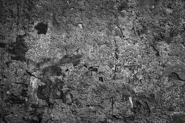 gray texture of old concrete wall