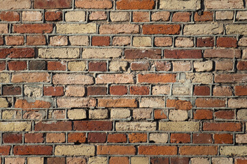 The photo shows a close-up of a brick wall
