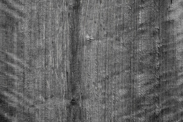 gray wood plank texture close up