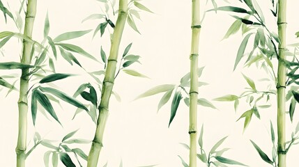 Fototapeta premium Serene Bamboo Forest Landscape