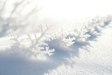 Intricate ice crystals, resembling snowflakes, adorn a snowy landscape, illuminated by sunlight.