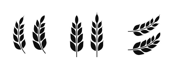 Wheat silhouette collection. Ear of wheat symbols. Wheat icon vector illustration.
