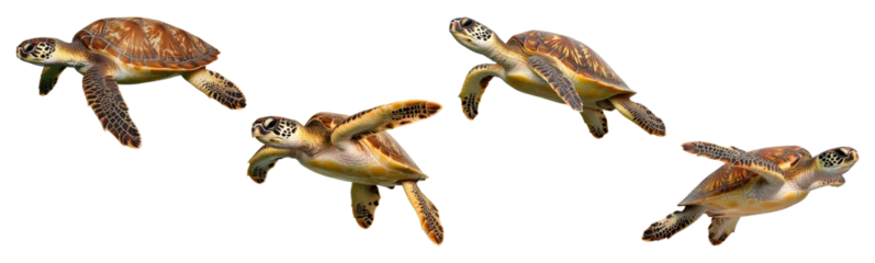 Gordijnen PNG set of sea turtles in motion isolated on transparent background © AuroraCrafts