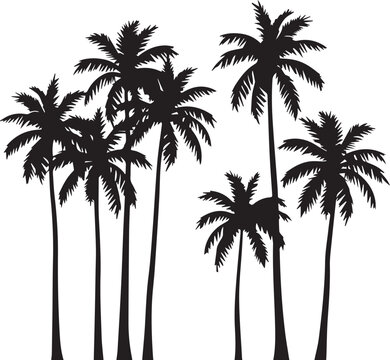 palm trees silhouettes
