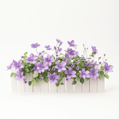 Obraz premium Beautiful arrangement of purple clematis flowers in white fence planter, creating serene and vibrant atmosphere