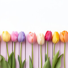 Colorful tulips arranged in row, showcasing vibrant spring display