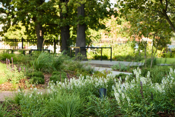 Obraz premium A Lush Green Garden Pathway, Beautifully Surrounded by Trees, Colorful Flowers and Nature