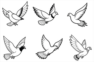 flying pigeon vector on white background 