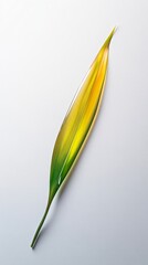 Obraz premium A Strikingly Vibrant Leaf, A Symphony of Yellow and Green Hues, Capturing the Essence of Nature's Artistic Beauty