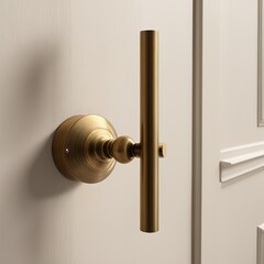 A classic, round door knob with a polished brass finish, mounted on a white door.