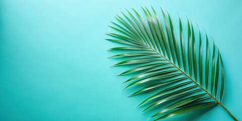 A single palm frond against a vibrant turquoise background, a tropical escape captured in a simple design
