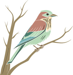 Beautiful Vector colorful bird-4