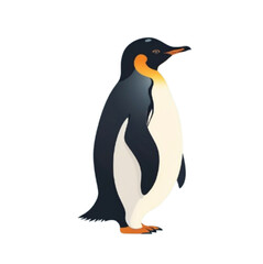 Fototapeta premium cute and simple vector illustration of a penguin standing upright.