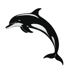 A silhouette black and white dolphin with white background