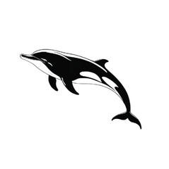 A silhouette black and white dolphin with white background