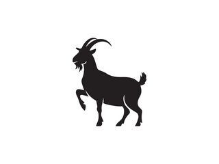 goat on white background