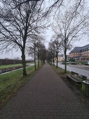 Naturpfad in Stralsund, Mecklenburg - Vorpommern: Zur Dezemberzeit