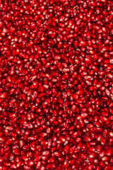 Christmas decoration, red ball isolated on white background.
