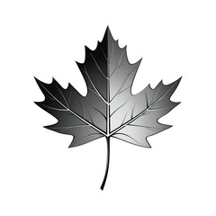 Stylized grayscale image of a single maple leaf