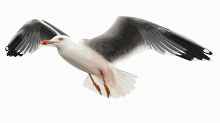 Naklejka premium Seagull bird clipart isolated vector illustration, ideal for nature, coastal, or animal themes.