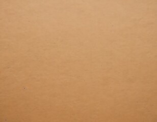 Fototapeta premium Light Brown Kraft Paper Texture Flat Banner Background