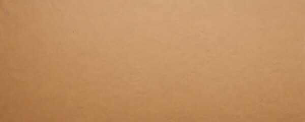 Light Brown Kraft Paper Texture Flat Banner Background