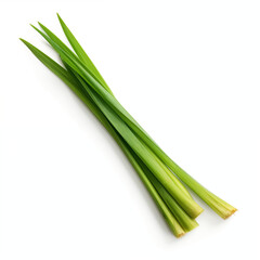 Fresh Pandan Leaves Green Herbal Plant Asian Cuisine Ingredient