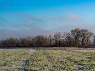 Winter landscape near Hohenbrunn in Germany.