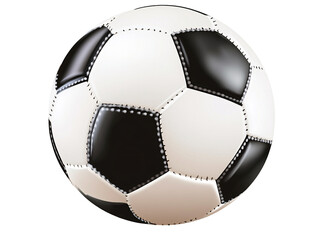 Isolated Black and White Soccer Ball