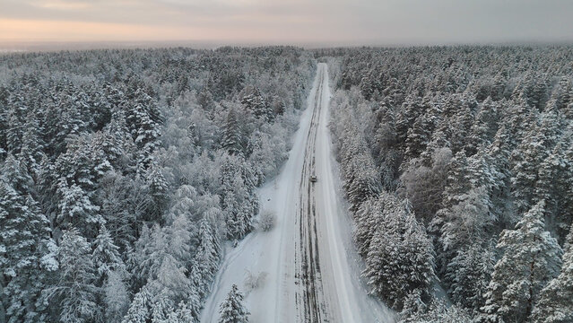 The car is driving along the road in a snow-covered white spruce forest at sunset