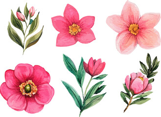 collection of flowers