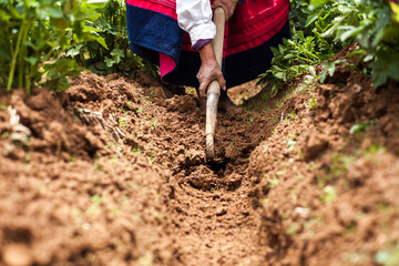 Arando la tierra en Perú