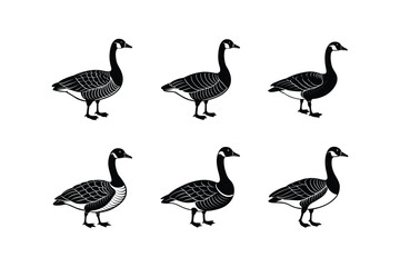 "Set of Canada Goose Vector Illustration"

