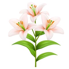 Obraz premium Single flower with three stems and three petals