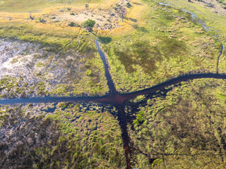 Okavango landscape in Botswana.