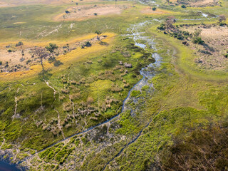 Okavango landscape in Botswana.