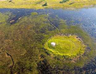 Okavango landscape in Botswana.