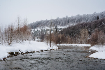 In a serene, tranquil snowy forest, a winding river flows gently, creating a stunning and beautiful...