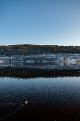 The Winter landscape by the lake 