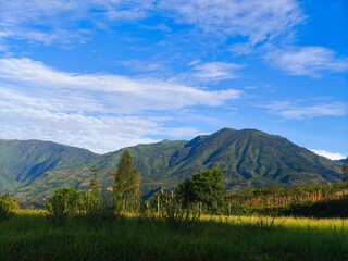 a picturesque agricultural landscape. In the foreground, rows of neatly planted crops stretch across a field, with small plants growing under protective plastic sheeting. Bamboo sticks provide support