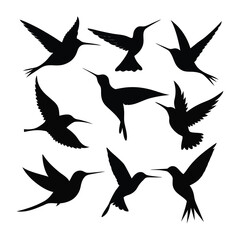 set of silhouettes of birds vector design