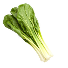 Chinese cabbage on white wooden table on transparent background