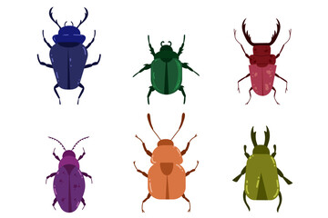 Beetle set. Collection of small insect. Nature illustration for kids. Vector isolated on white background