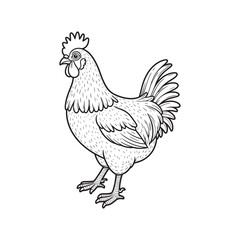  hen line art and silhouettes of hen chicken. vector Illustration