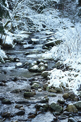 Winter snow-covered small river in the mountains.