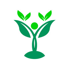 green tree with leaves isolated
