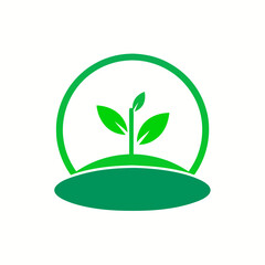 green plant in the form of a heart