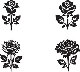 set of rose and rose on white vector