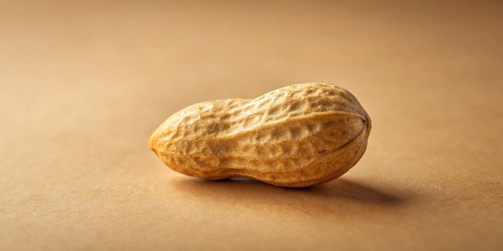 A single peanut in its shell resting on a brown surface, capturing the simplicity and detail of nature's bounty.