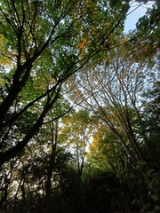 Diamond painting, hobby, relaxing activity, well-being, me time